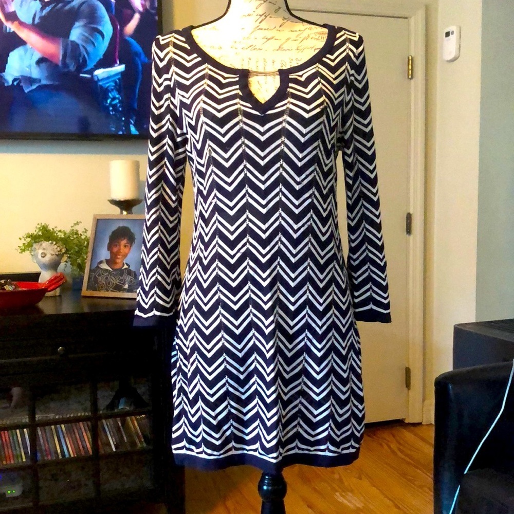 LST CHANCE 💄 WHBM Navy and White Sweater Dress, size Medium